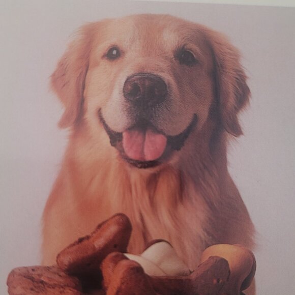 Dog Cookbook TASTY TREATS FOR DEMANDING DOGS By Gregg Gillespie Homemade Goodies - Picture 7 of 7